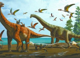 Descubren en China dos nuevas especies de dinosaurio que habitaron la Tierra hace más de 120 millones de años
