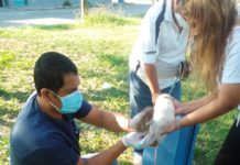 Habrá segunda jornada de esterilización a cargo de activista