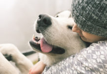 “Un método seguro para reducir estrés”: Confirman que abrazar a un perro ayuda a mejorar el bienestar mental