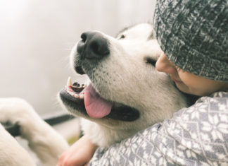 “Un método seguro para reducir estrés”: Confirman que abrazar a un perro ayuda a mejorar el bienestar mental
