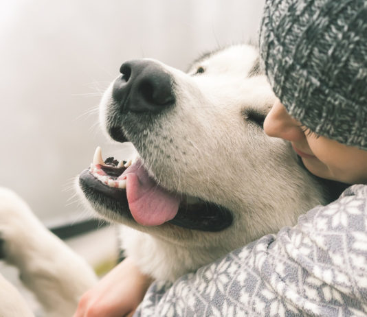 “Un método seguro para reducir estrés”: Confirman que abrazar a un perro ayuda a mejorar el bienestar mental