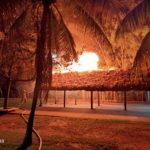 indendian palapa 4