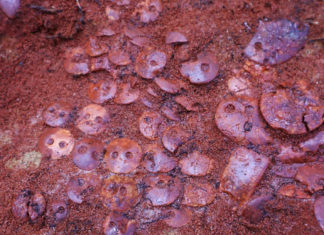 Estudiantes de arqueología rusos descubren un “excepcional” entierro de más de 5.000 años de antigüedad con 140 joyas de ámbar del báltico