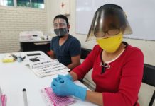 Desisten en participar como funcionarios de mesas receptoras.