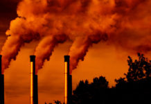 Cerca de 14.000 científicos advierten que los signos vitales de la Tierra empeoran a un ritmo “preocupante”