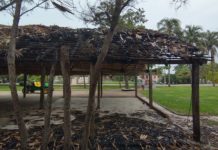Actos de vandalismo cuestan a los tampiqueños: Chucho Nader