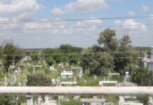 Abandono y olvido en panteón municipal