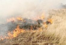 Bomberos sofocan incendio en predio baldío