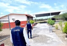 Escuelas bajo lupa sanitaria