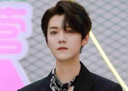 China prohíbe a los “cantantes afeminados” en la televisión