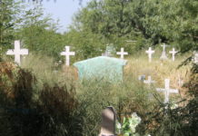 Abandono y olvido en panteón municipal