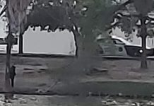 Policías Estatales orinan en árboles de El Laguito en Matamoros