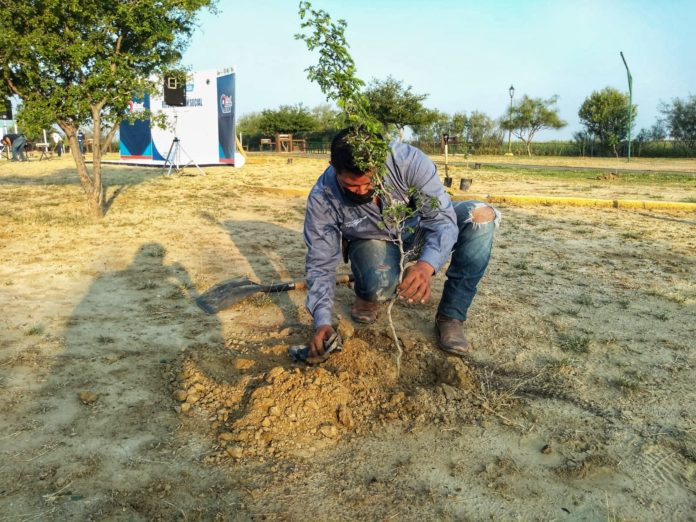 SDU-022-2021.-Refrenda Gobierno de Tamaulipas compromiso para reforestación en áreas naturales (4)
