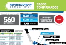 STT confirmó 560 nuevos casos y 9 fallecimientos