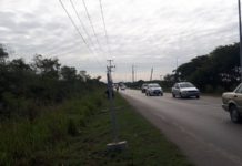 Conductores matan a transeúntes y luego huyen de la escena del crimen