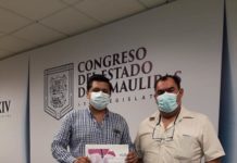 Plaga acaba con el 1% de los árboles de cítricos