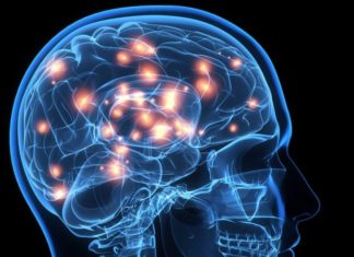 6 ejercicios que practica cada día la neurocientífica Wendy Suzuki para mejorar su fortaleza mental