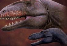 Encuentran en Asia Central los restos del dinosaurio que dominó el mundo antes que el ‘Tyrannosaurus rex’