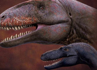 Encuentran en Asia Central los restos del dinosaurio que dominó el mundo antes que el ‘Tyrannosaurus rex’