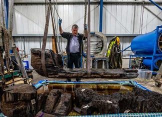Descubren por ‘accidente’ un “raro” sarcófago de 4.000 años tallado de un tronco en el lago de un campo de golf