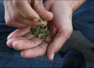 Crean vacuna que combate adicción de drogas y evitaría las sobredosis