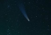 Cuatro asteroides de hasta 230 metros se aproximarán este mes a la Tierra y uno pasará más cerca que la Luna