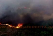 Bomberos atiende llamado de incendio en predio baldío