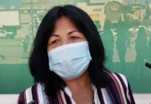 Cortes de luz y plaga de moscos, afecta a 3 mil familias de Madero.