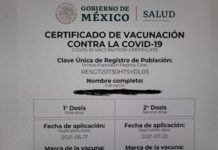 Saturan peticiones de cartilla de vacunación