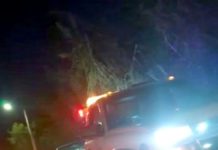 Choque deja solo daños y caos vehicular