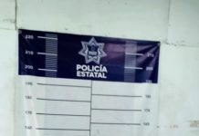 Detienen a sujeto por alterar el orden y allanar una vivienda