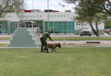 Ejército cuenta con apoyo de escuadrón canino