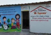 Producen huevo orgánico económico