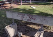 Interpondrá Madero denuncia por robo de plantas y equipo para ejercitarse