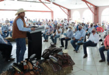 Fortalece Tamaulipas la calidad genética de su ganado