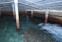 Lluvias resuelven en un corto plazo problema de agua en Victoria