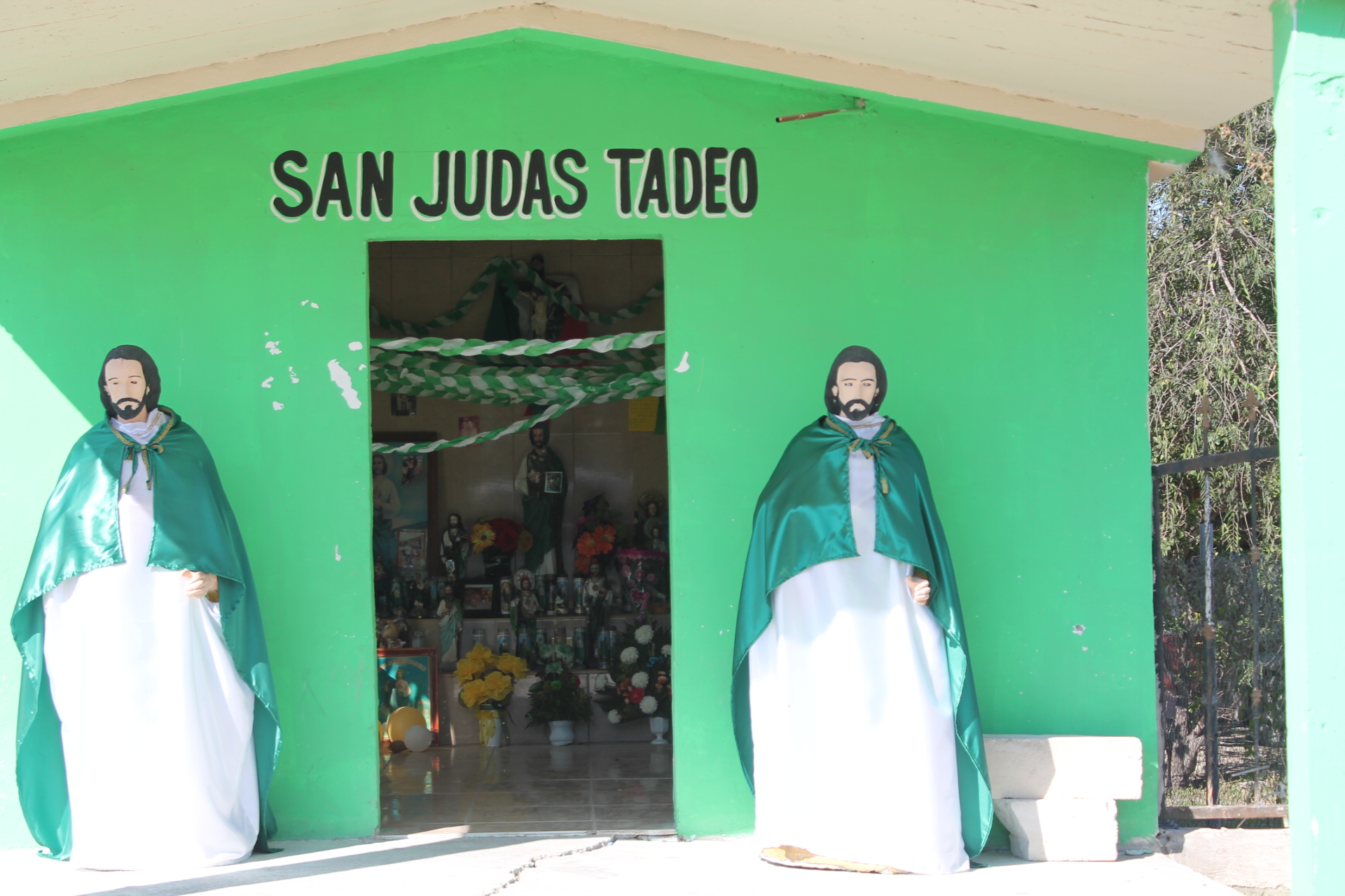 Agradecerán a San Judas Tadeo baja en Pandemia | EnLí