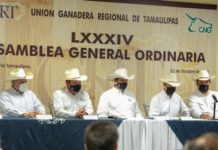 Gobierno de Tamaulipas ha destinado más de 500 mdp al sector ganadero.