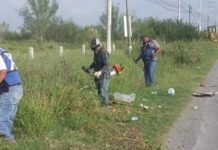 Rehabilita Municipio áreas verdes y sanea vía pública