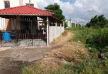 Desde cocodrilos hasta alacranes han aparecido en viviendas de Arboledas