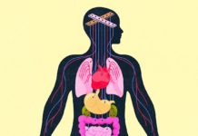 La depresión y la ansiedad afectan al cuerpo de formas destructivas