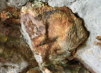 Descubren en Italia una serie de “raros” grabados paleolíticos tallados en una cueva hace 14.000 años
