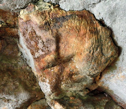 Descubren en Italia una serie de “raros” grabados paleolíticos tallados en una cueva hace 14.000 años