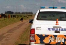 Descartan regrese la Policía Rural al Estado