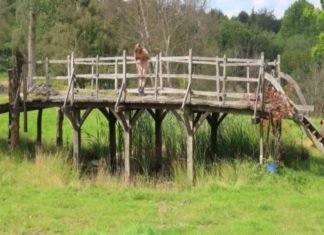 El puente de Winnie Pooh es subastado por 179 mil dólares en Reino Unido