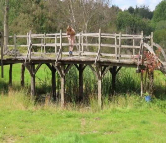 El puente de Winnie Pooh es subastado por 179 mil dólares en Reino Unido