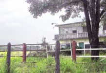 Sin poder “levantarse” el 15% de los ranchos afectados por la delincuencia