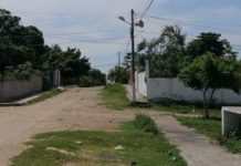 Podría regresar guardias ciudadanas a Flores Magón