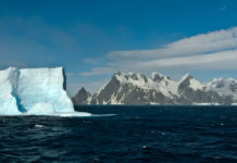 Vida en la Tierra: ¿cómo es posible y por qué es importante para la búsqueda de vida extraterrestre?