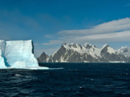 Vida en la Tierra: ¿cómo es posible y por qué es importante para la búsqueda de vida extraterrestre?